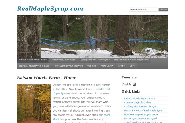 Catch Responsive theme site design template sample
