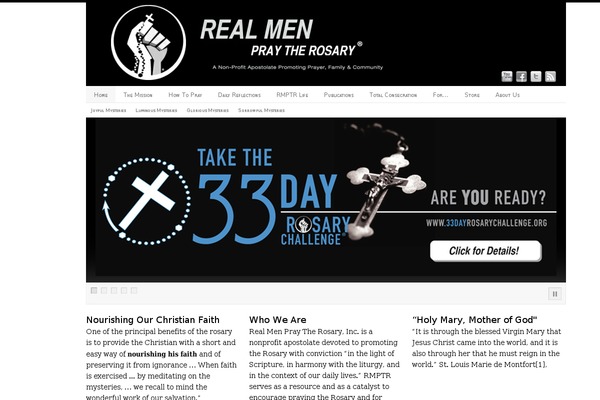 PlatformPro theme site design template sample