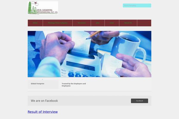 Pitch theme site design template sample