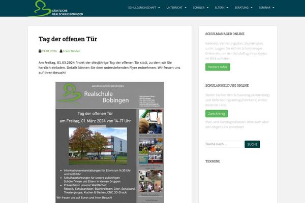 Sparkling theme site design template sample