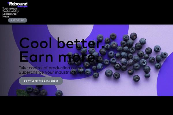Rebound theme site design template sample
