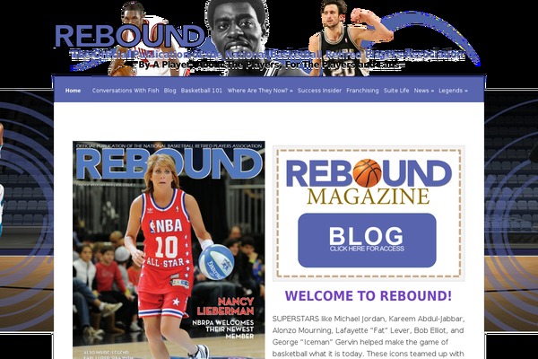 Nexus theme site design template sample