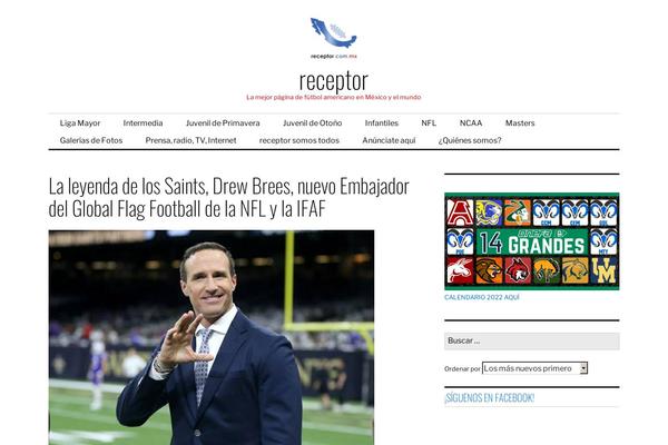 Colinear theme site design template sample