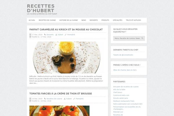 Cleanmag theme site design template sample