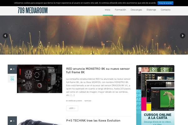 Site using Otw-sidebar-widget-manager plugin