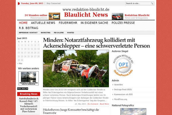 WP Newspaper theme site design template sample