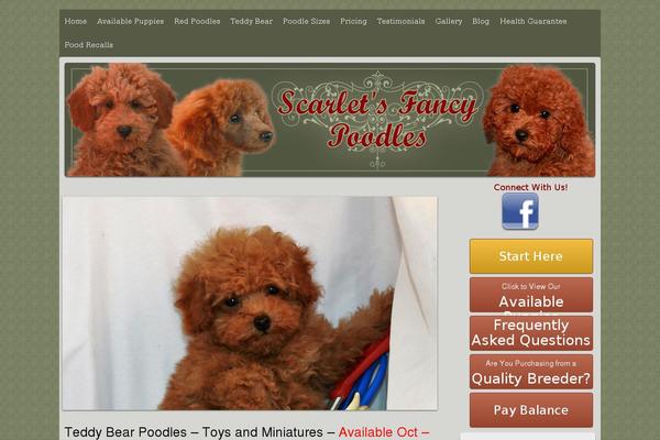 Site using Soliloquy-lightbox plugin