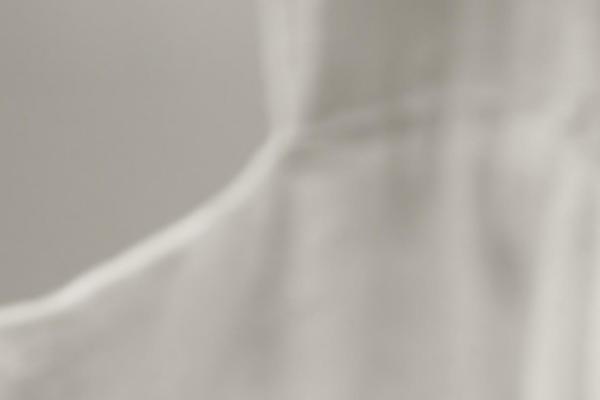 Nonus theme site design template sample