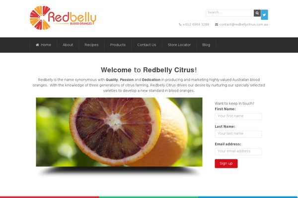 Dreamspace theme site design template sample