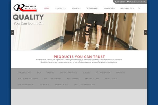 Divi child theme site design template sample
