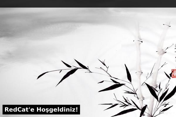 Tattoo-wp theme site design template sample