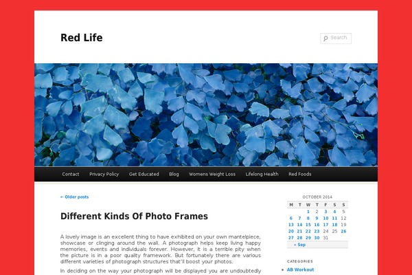 Duster theme site design template sample