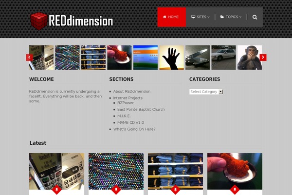 Immunity theme site design template sample