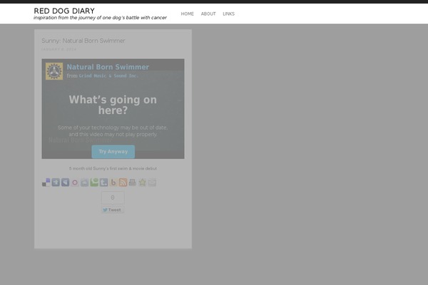 Sideswipe theme site design template sample