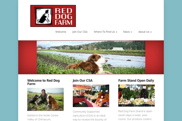 Foxy theme site design template sample