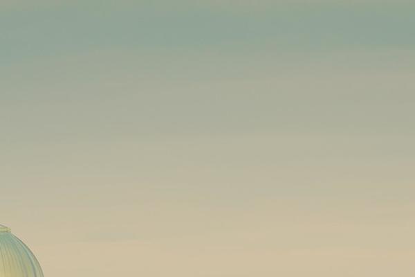 Parallax theme site design template sample