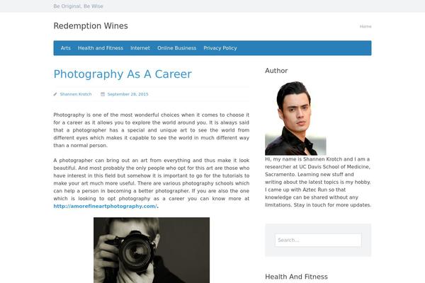 Presentation Lite theme site design template sample