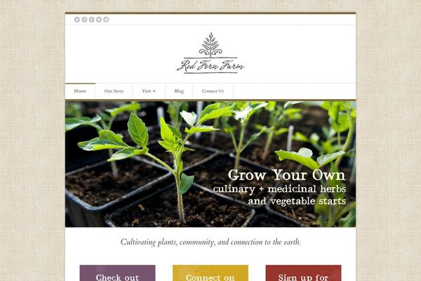 Organic Shop theme site design template sample