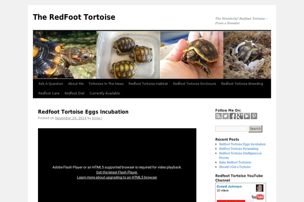 Site using EP Social Widget plugin