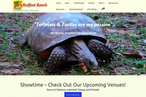 Virtue theme site design template sample