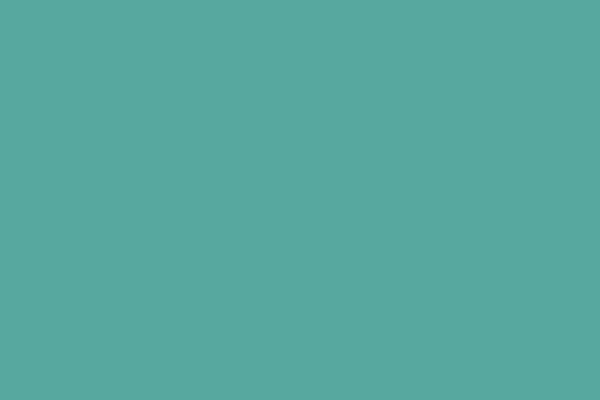 Mint theme site design template sample