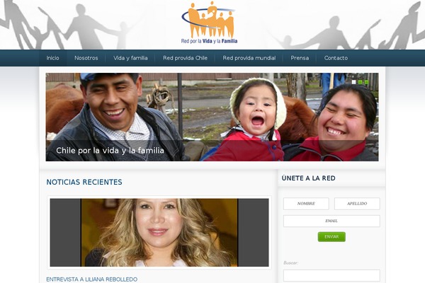 The-cause theme site design template sample
