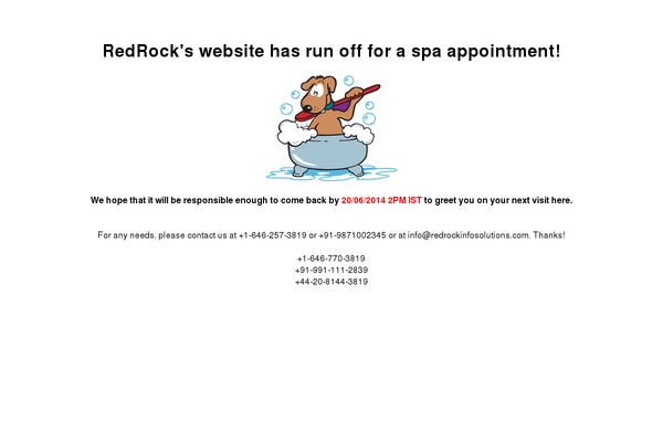 punto theme websites examples