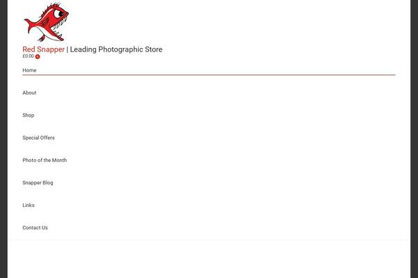Cf-dt-the7 theme site design template sample