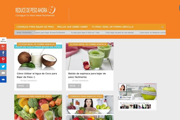 NewsOnline theme site design template sample