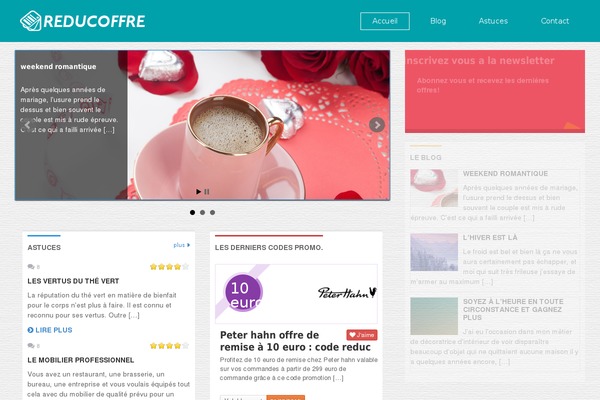 Coupon theme site design template sample