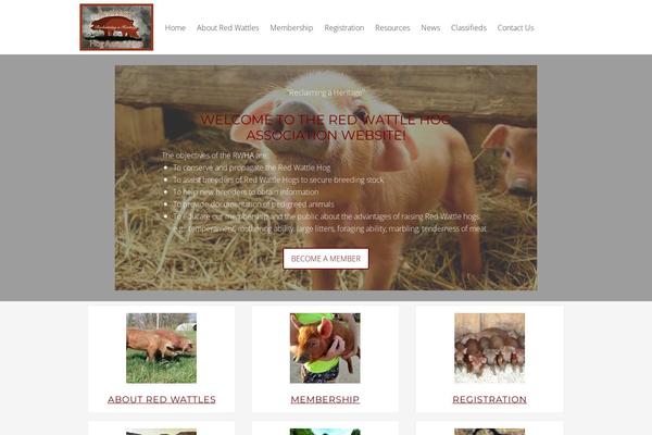 Site using Subscribe / Connect / Follow Widget plugin