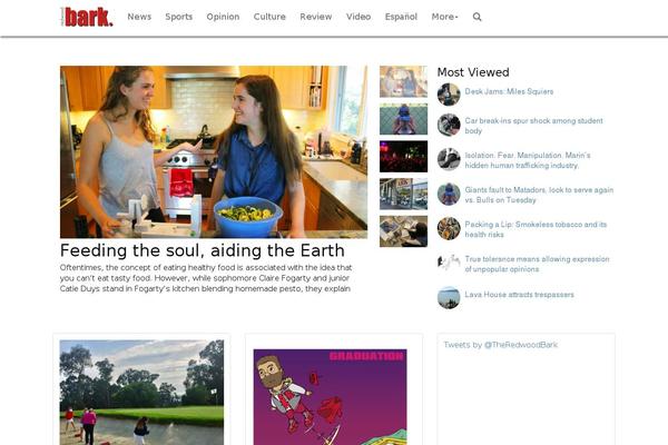 Site using Web-stories plugin