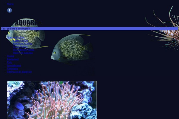 Site using About The Autor plugin