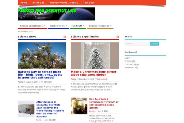 WordPress website example screenshot