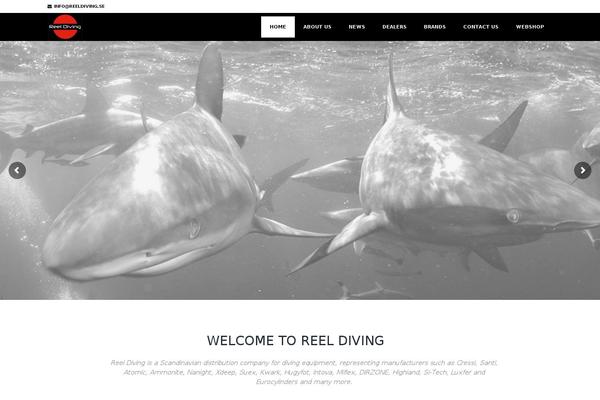 Site using Custom-facebook-feed-pro plugin