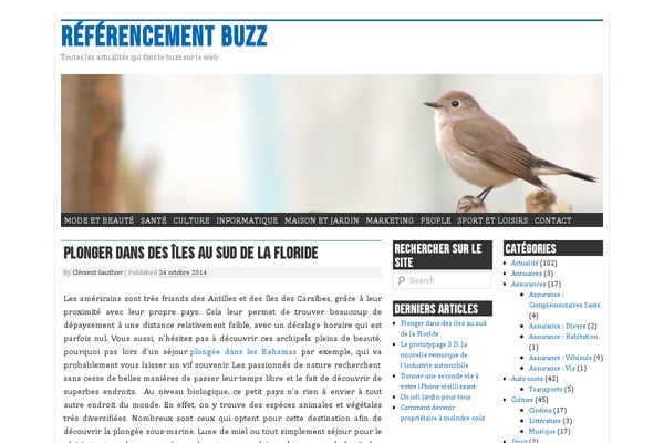 referencement-buzz.com site used nano blogger