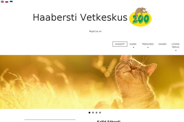 Matheson theme site design template sample