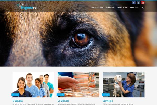 Kallyas theme site design template sample