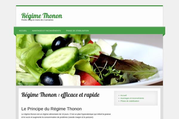 Theme1 theme site design template sample