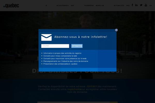 Site using Wordpress-social-stream plugin