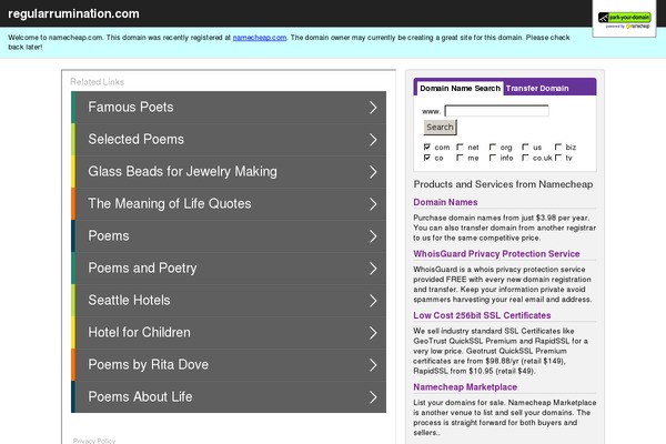 Runo Lite theme site design template sample