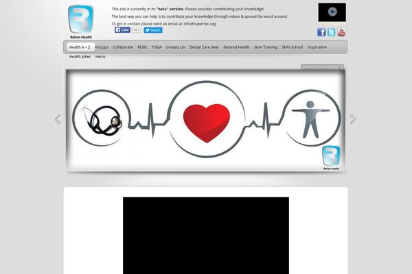 TheProfessional theme site design template sample