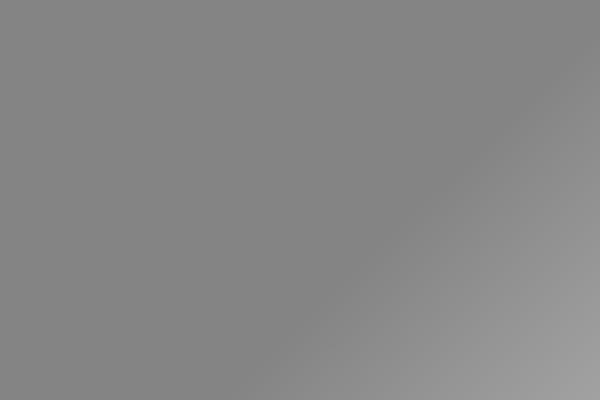 The7 Child theme site design template sample
