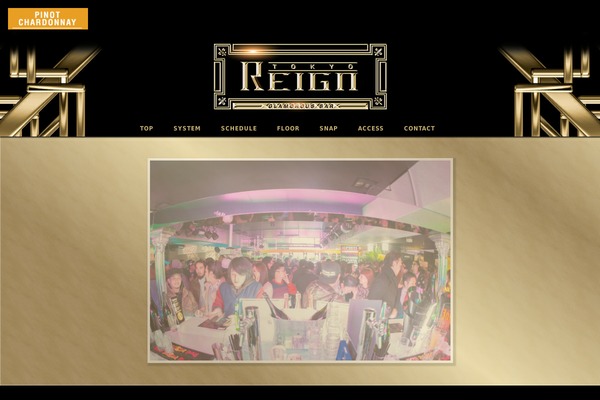 reign theme websites examples