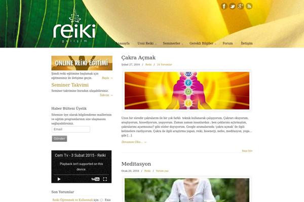 Site using Flash MP3 Player plugin
