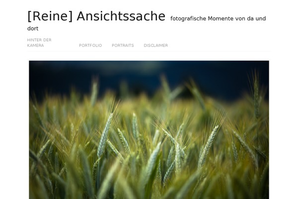 Amadeus theme site design template sample