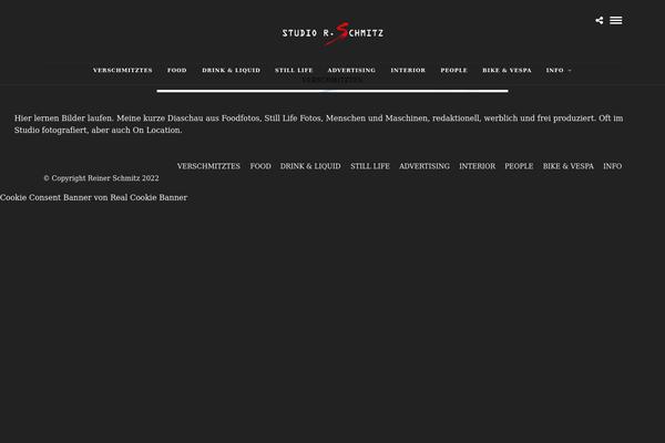 Photography theme site design template sample