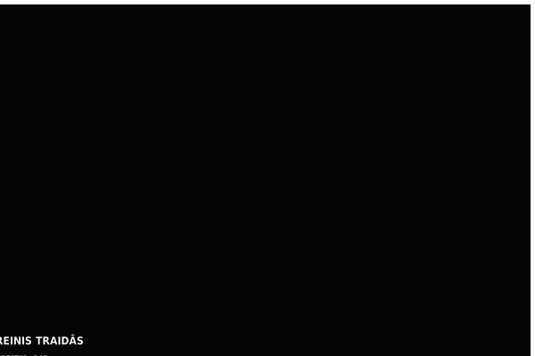 reinistraidas.com site used Reinist