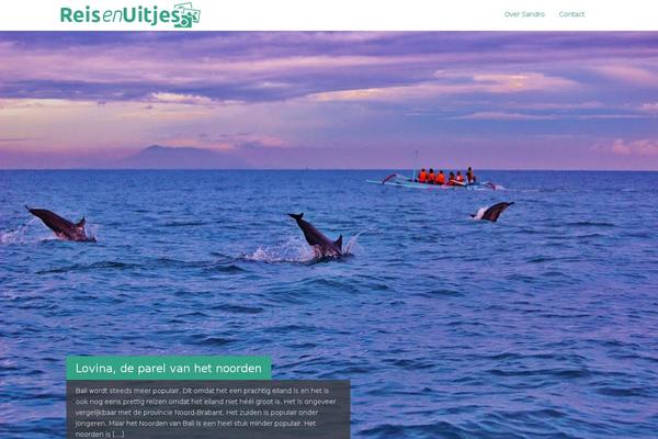 Dazzling theme site design template sample
