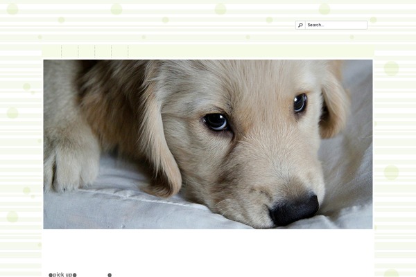 Fusion-edit theme site design template sample